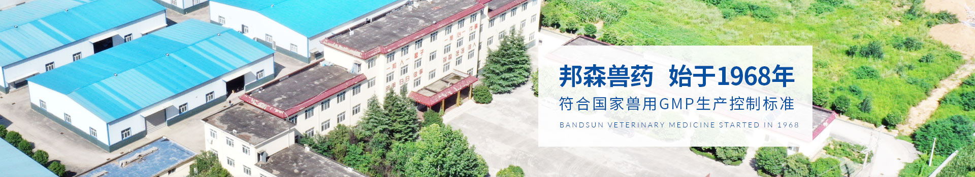 獸藥廠(chǎng)家