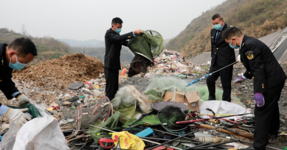 315農業(yè)執(zhí)法在行動