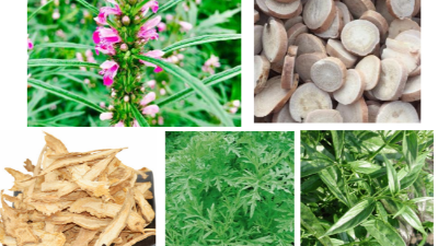 飼料便軟便、血斑蛋等陽氣不足、陰血虧虛引起的癥狀用上海邦森如意。