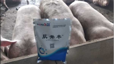 上海邦森肌骨豐豬場提高效益的有效方法，獲得客戶的認可