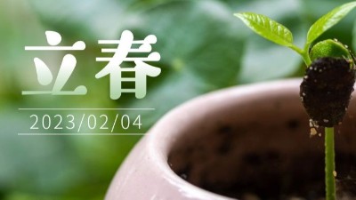 春氣始，萬物生-立春-上海邦森